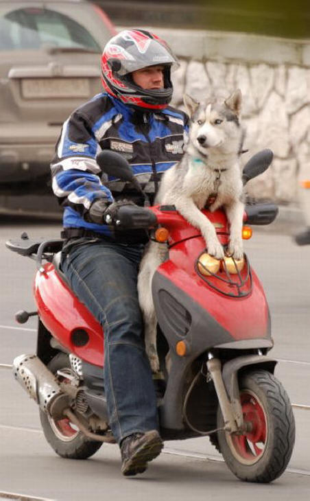 Samo v Rusiji (38 fotografij)