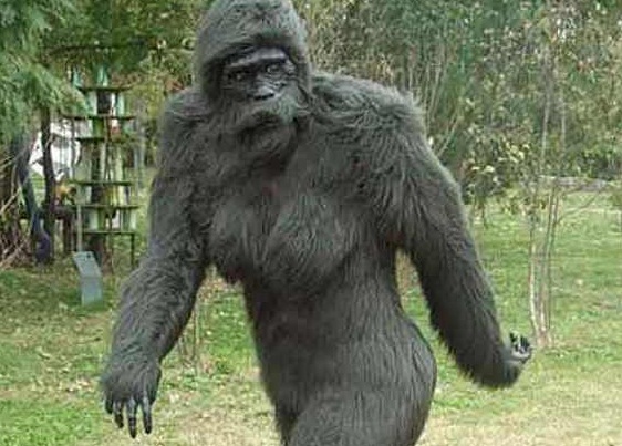 Fotografija snega snežaka