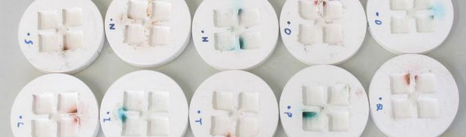 Stranišča gradijo ... mravlje