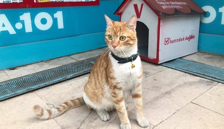 Najeta turška trgovina