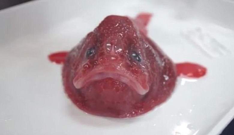 Neznana znanstvenim bitjem, ki so jih našli ob obali Avstralije.