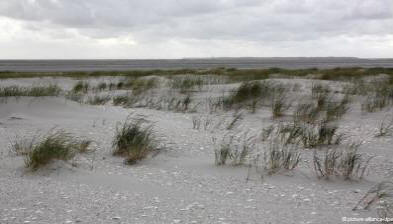 Ob obali Nemčije se je pojavil nov otok.