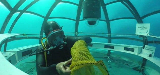 Znanstveniki bodo gojili rastline, užitne za ljudi pod vodo.