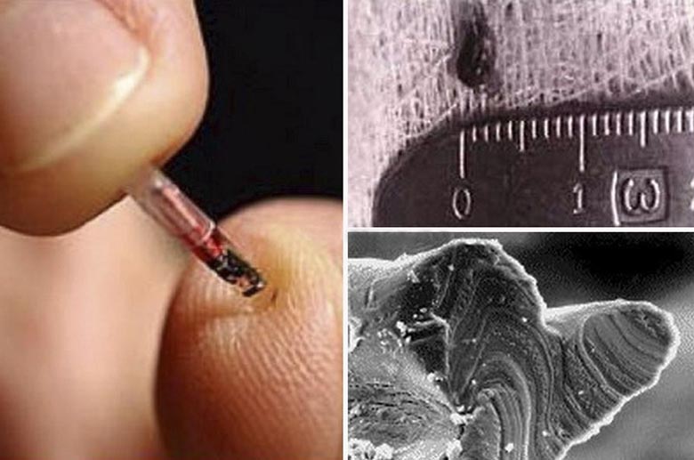 Znanstveniki so dokazali, da vesoljci ugrabljajo in čipirajo ljudi.