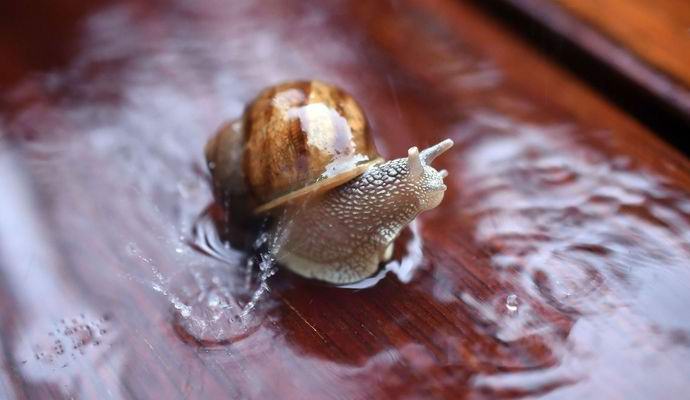 Znanstveniki so ugotovili