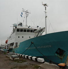 Znanstveniki so v severnih morjih našli nekaj nenavadnega.