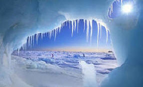 Znanstveniki so našli življenje pod ledom Antarktike. Video.