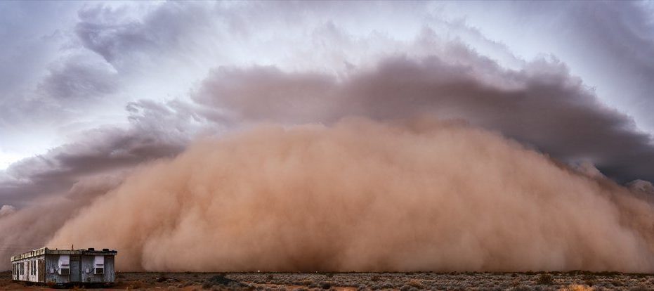 Znanstvenike je skrbelo pet kaskadnih kriz, ki ogrožajo prihodnje generacije 