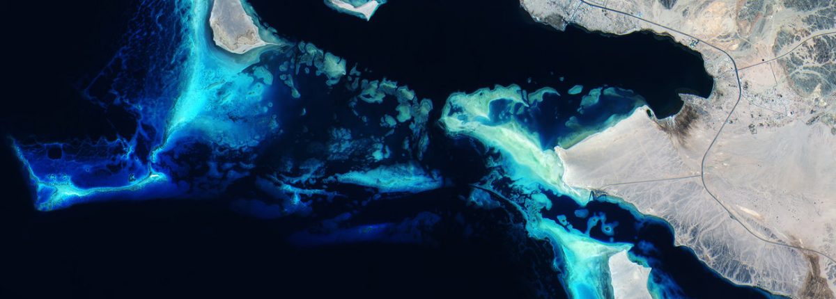 Znanstveniki so odkrili nepričakovano velik vir naravnih toplogrednih plinov 