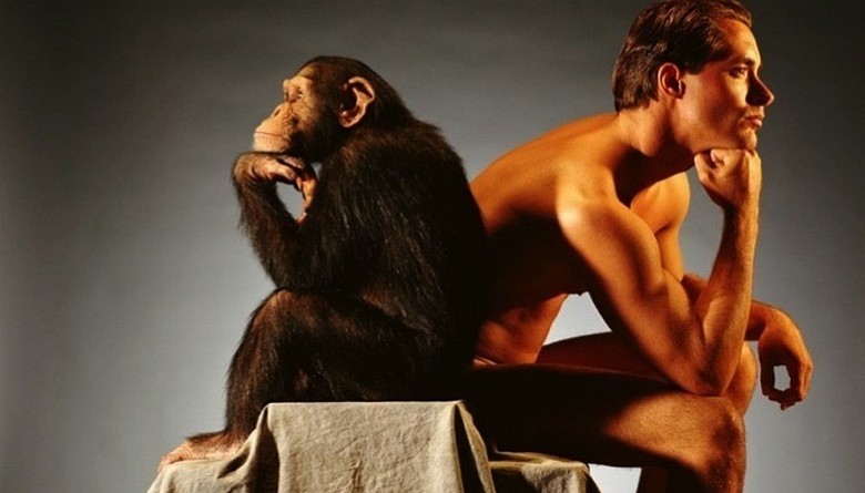 Znanstveniki so odkrili, kaj je opico spremenilo v človeka.