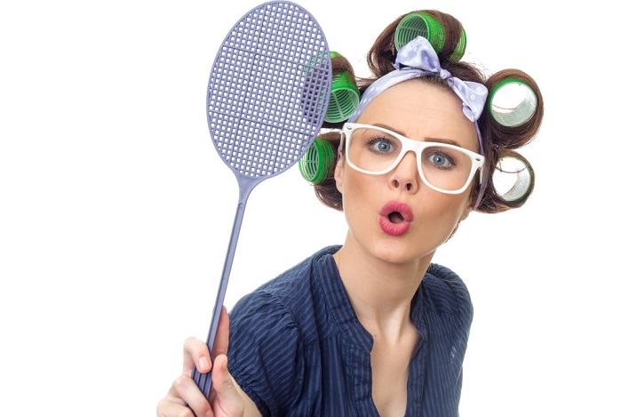 Znanstveniki so razložili, kako koristni so domači pajki