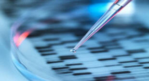 Znanstveniki so v laboratoriju zrasli želodcu človeka.