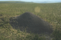 Znanstveniki so začeli reševati skrivnost tako imenovane 