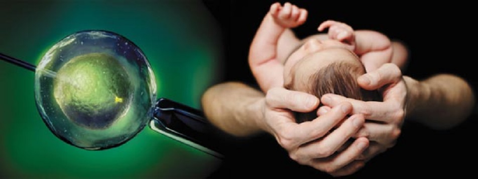 Znanstveniki so našli način, kako izbrati spol otroka z umetno oploditvijo.