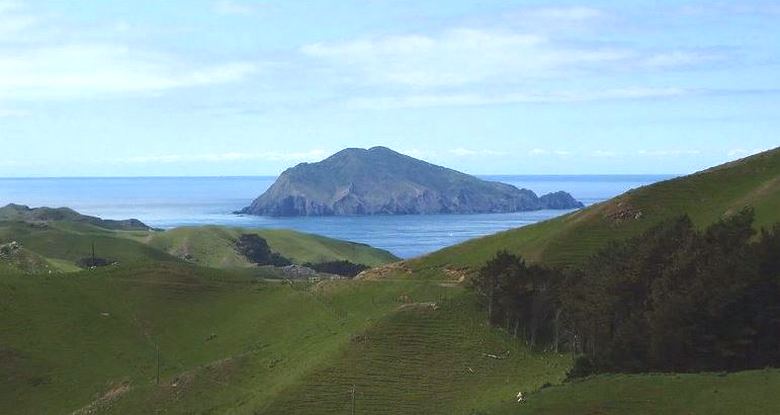 Neverjetna zgodba o eni mački, ki je v manj kot letu dni iztrebila celo vrsto ptic.