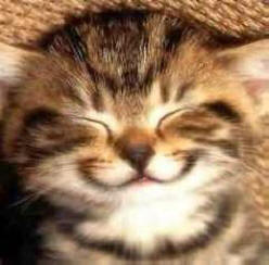 Neverjetna dejstva, zaradi katerih se nasmehnete.