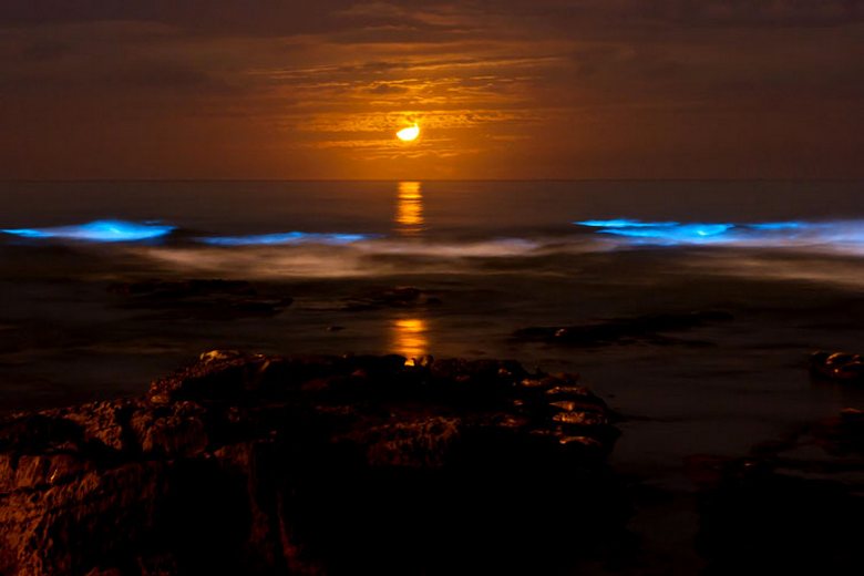 Neverjetni naravni pojavi, ki mejijo na znanstveno fantastiko