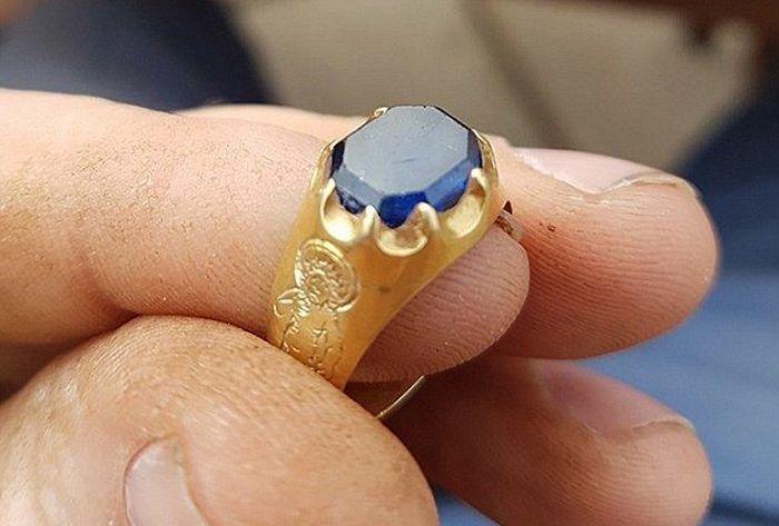 Neverjetno darilo gozda Sherwood