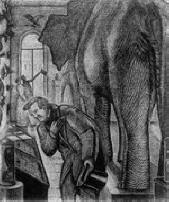 Pametni moški vidijo muho, a pogrešajo slona.