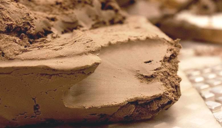 Uporaba gline bo človeku omogočila, da ostane vitek, ne glede na prehrano.