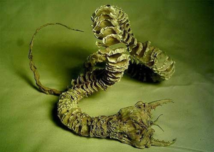 Groza mongolske puščave - olga-hhorkha