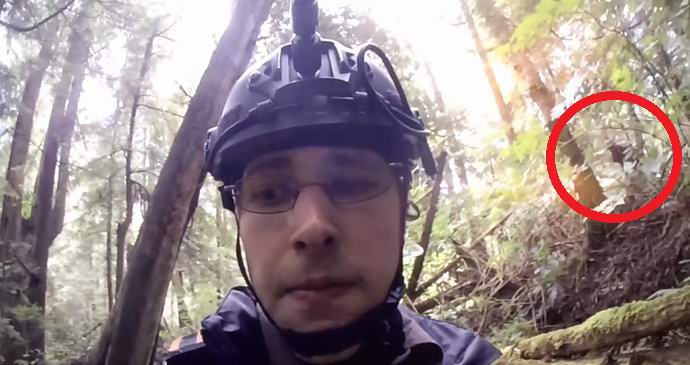 Yeti je bil po naključju opažen v ameriški televizijski oddaji.