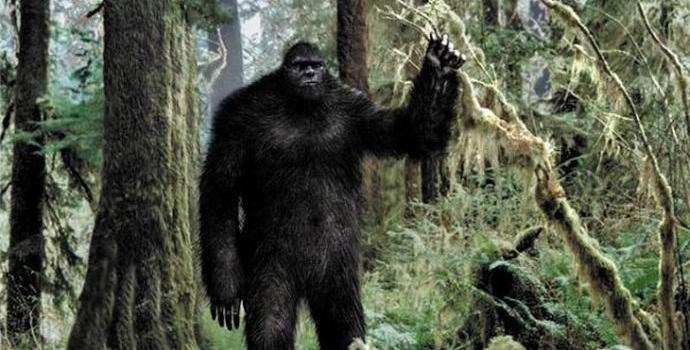 Bigfoot je bil posnet v ameriškem gozdu