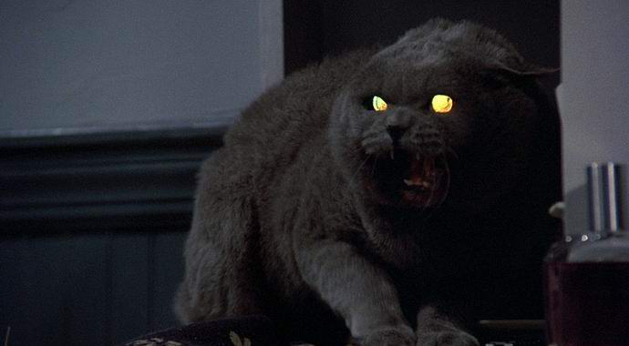 Pokopališče kraljevih hišnih ljubljenčkov najdeno v Ameriki