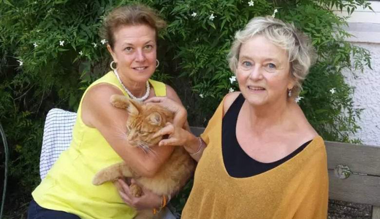 Mačke skrivnostno izginejo na angleškem podeželju