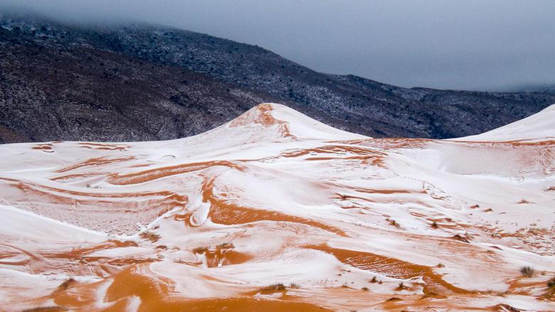 V Argentini severna zima: snežne padavine do pol metra in minus 25