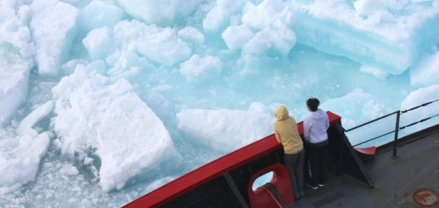 Ogromne celine so bile pred Arktiki pred milijoni let.