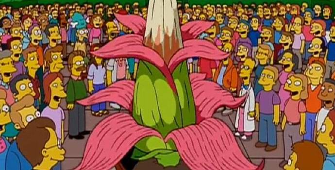 V Belgiji je zacvetel velikanski smrdeč cvet