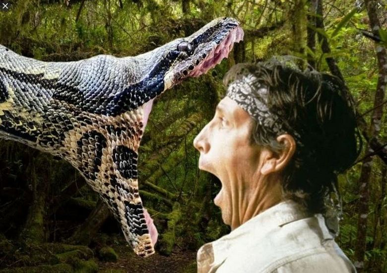 V Braziliji je anakonda napadla moškega in samo nesrečniki, ki so prišli pravočasno, so rešili nesrečneža.