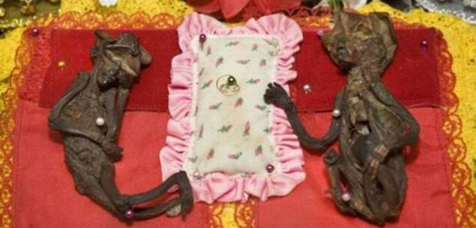 Mumificirane vile se hranijo v budističnem templju.