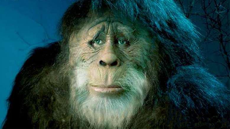 Na Čeljabinskem se je nova turistična atrakcija pojavila: nahraniti še title=