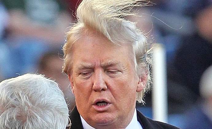 Molj, podoben njemu, je poimenovan po Donaldu Trumpu.