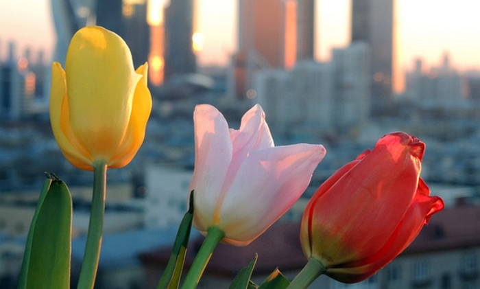 8. marca - zanimiva dejstva o ženskah!