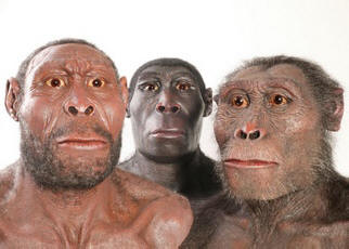 V Etiopiji so odkrili kamnite sulice starejše od človeštva.