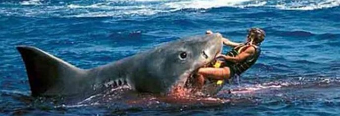 V Egiptu se je morska tragedija ponovila