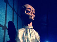 Tujci, vpleteni v gospodarsko zaroto?