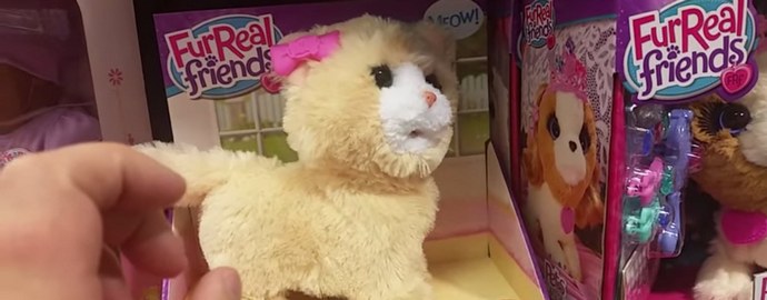 Demon je vlil igračo mucka?