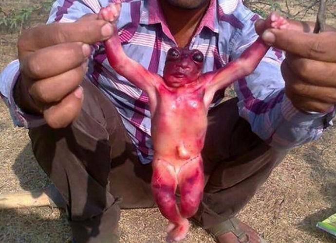 V Indiji so našli truplo neverjetnega bitja.