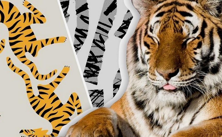 V Indiji je tigress vstopila v hišo in šla na posteljo njenega gospodarja.