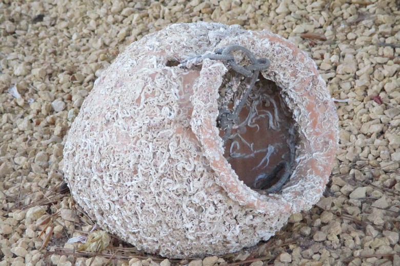 V Indoneziji je z neba padel predmet v obliki vrča.