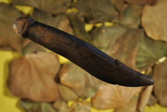 Predmet iz Švedske. Trdijo se tudi o njegovem namenu.