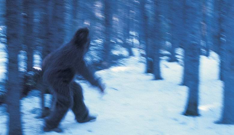 V Kanadi ujeli velikega snežaka