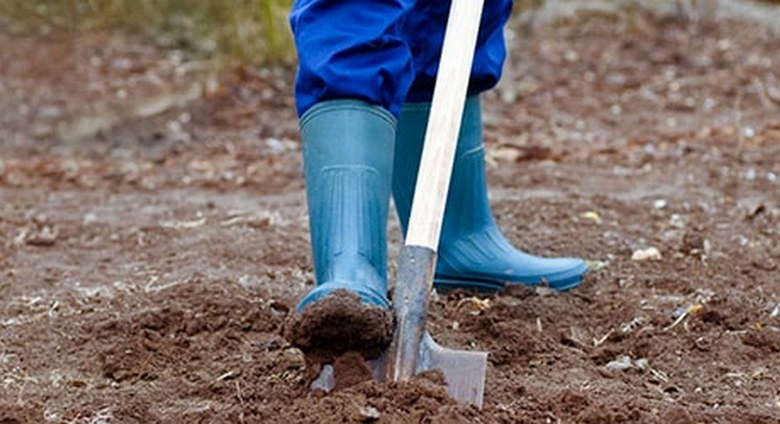 V Kazahstanu je dobro ohranjeno srednjeveško plovilo.