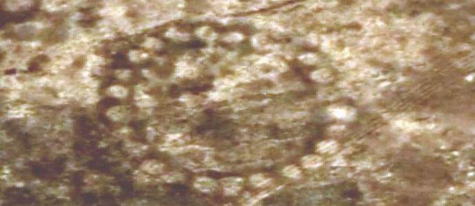 V Kazahstanu so odkrili ogromne risbe zemlje