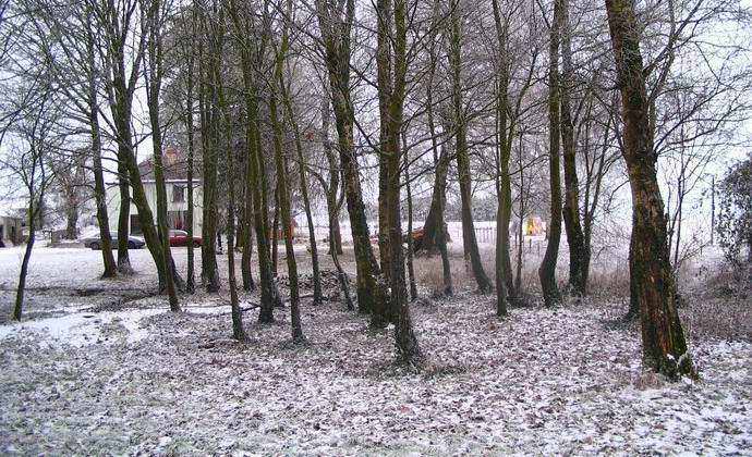 Na Kitajskem so ugotovili skrivnostno temperaturno anomalijo.