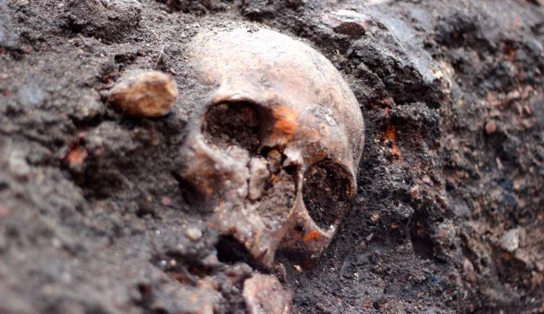 Na Kitajskem so izkopali 5000 let stare ostanke velikanov.